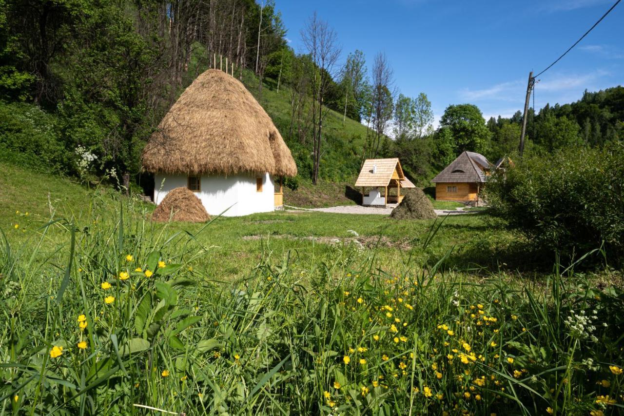 Casa Bunicilor Apuseni Hotel Geogel Exterior photo